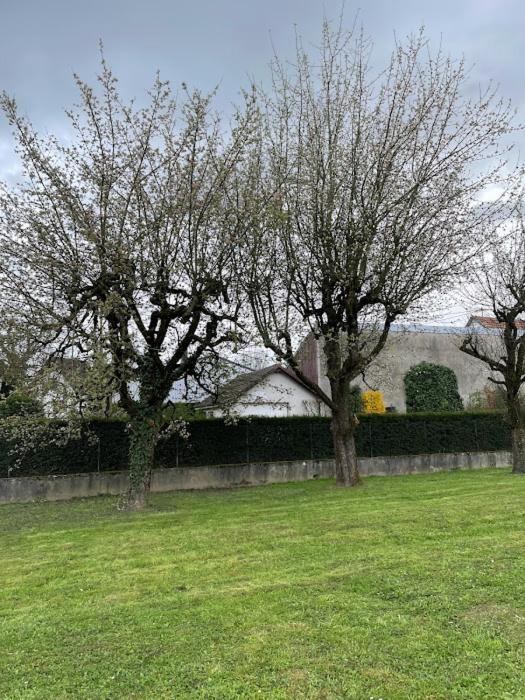 Basel Airport Garden Hotel Blotzheim Kültér fotó